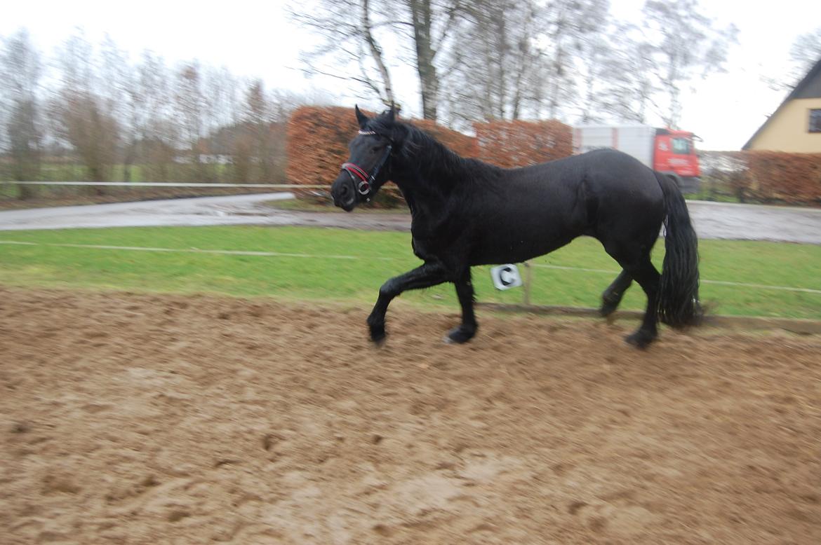 Frieser Hilde fan breuningswyck billede 14