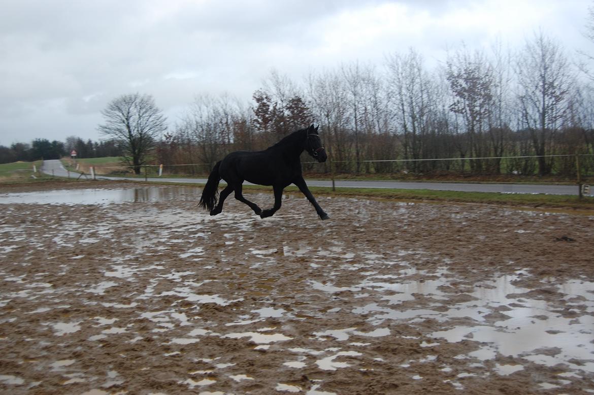 Frieser Hilde fan breuningswyck billede 11