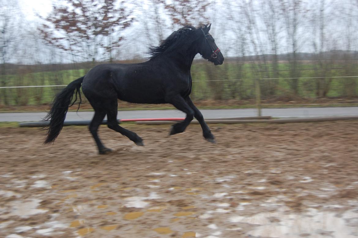 Frieser Hilde fan breuningswyck billede 15