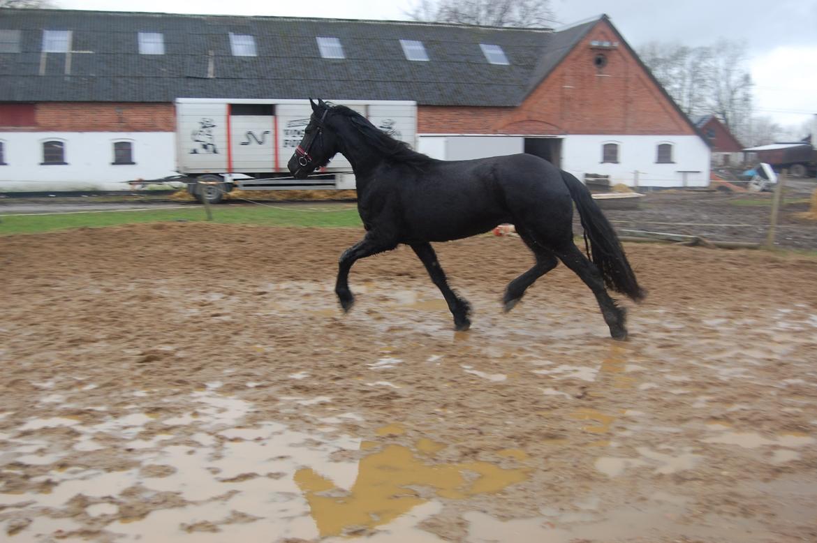 Frieser Hilde fan breuningswyck billede 12