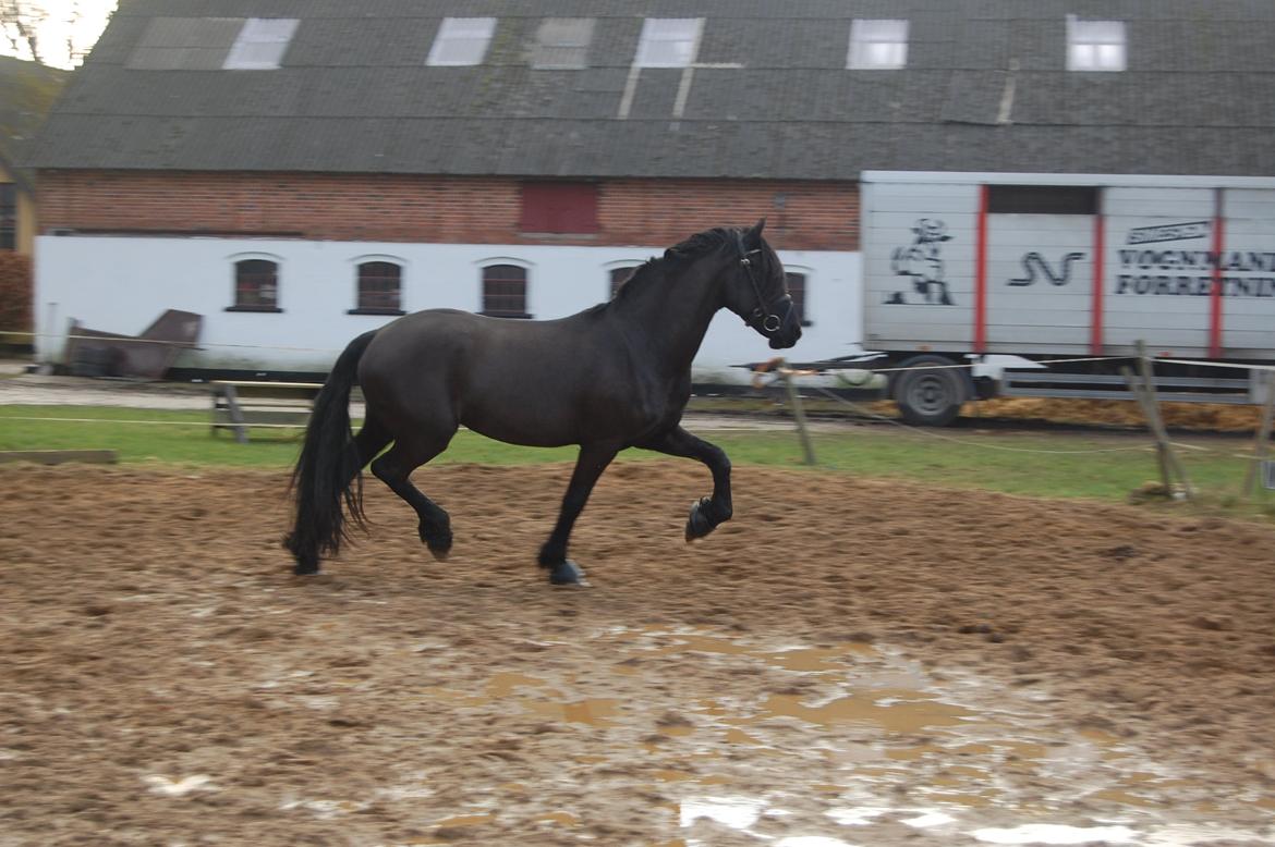 Frieser harmen billede 8