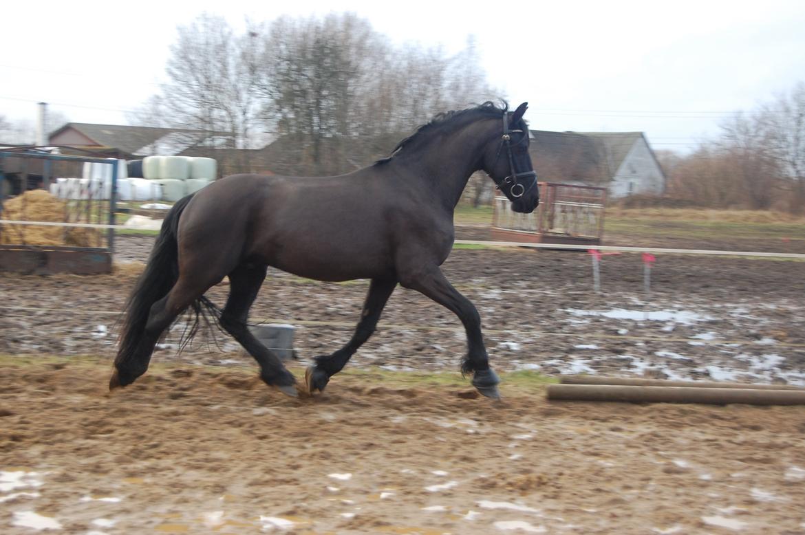 Frieser harmen billede 9