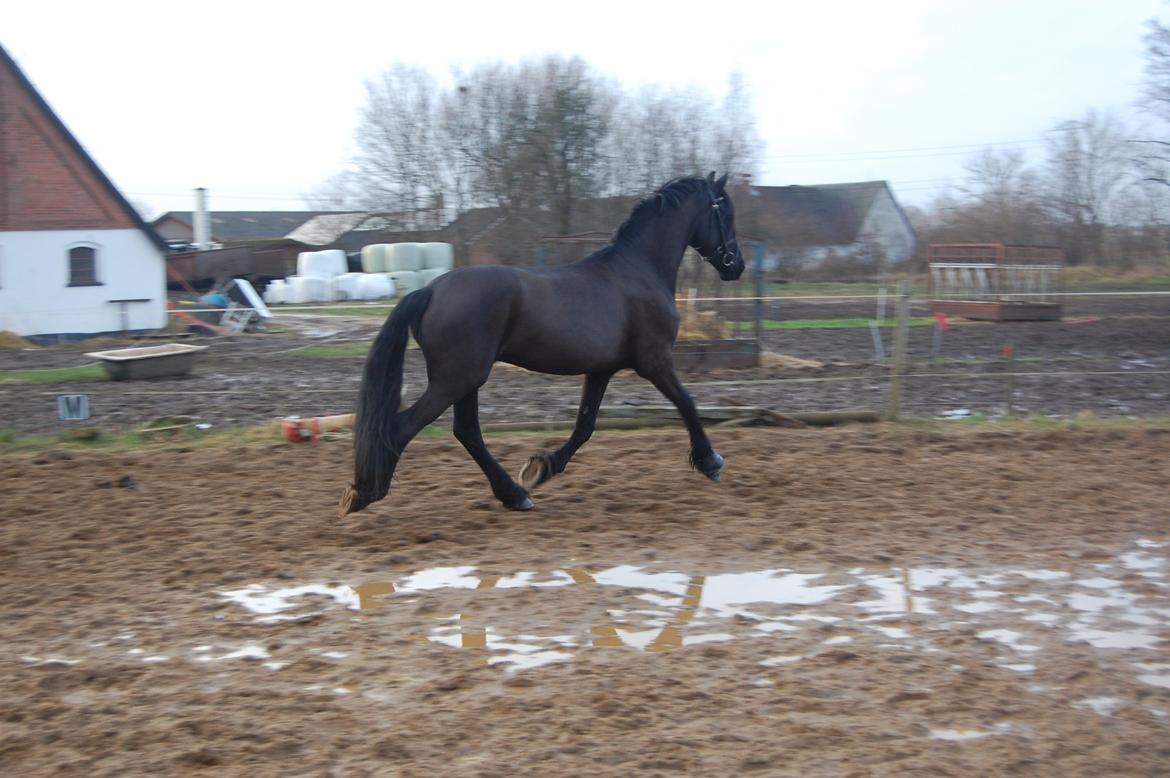 Frieser harmen billede 6