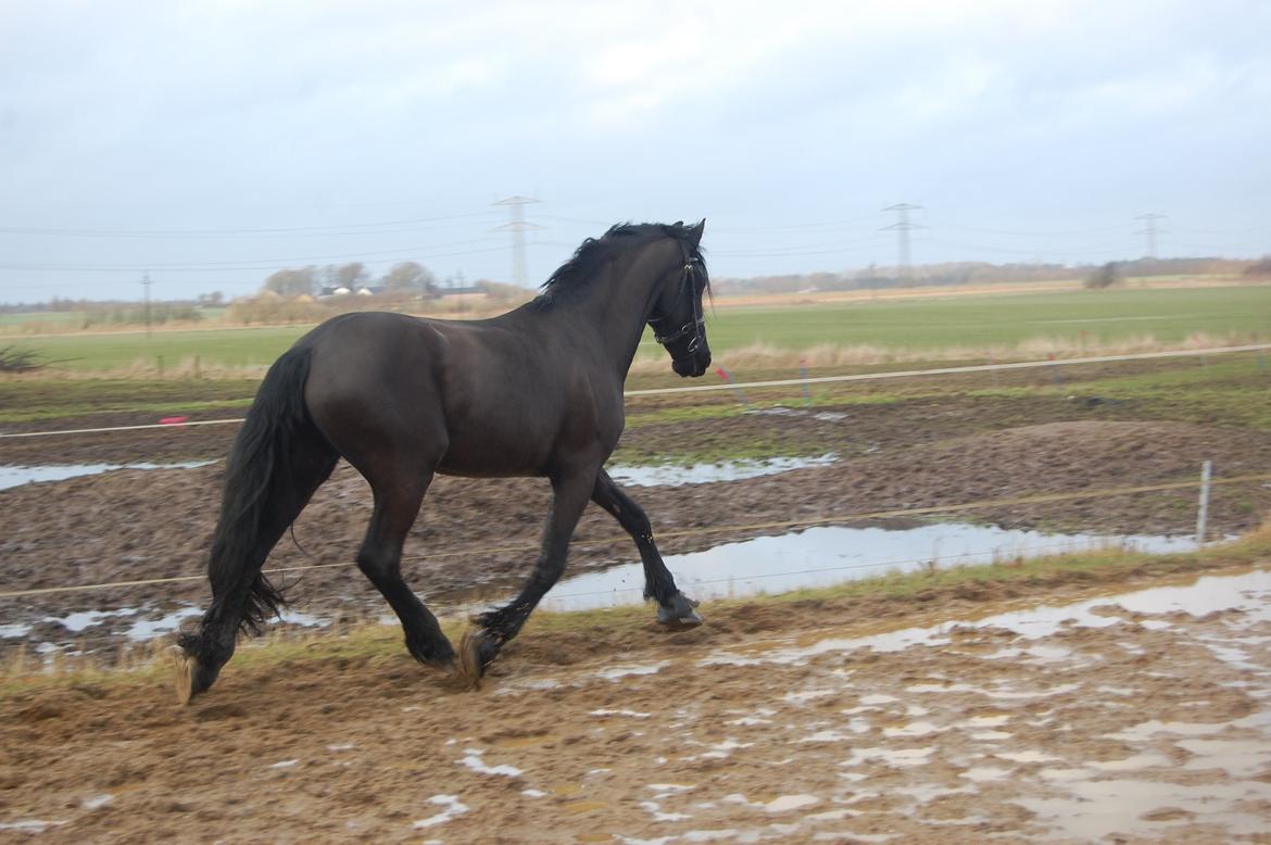 Frieser harmen billede 14