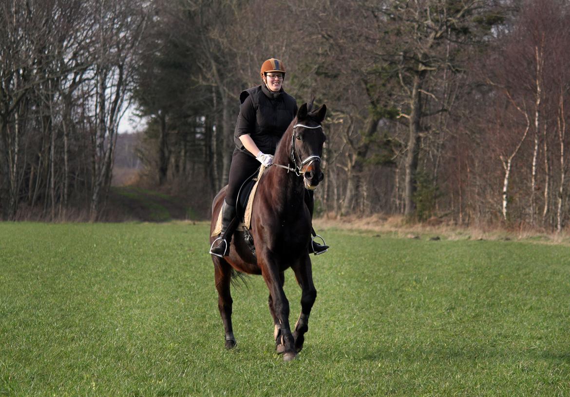 Oldenborg Skjaldhøj Tobias (Min Soulmate) *Højt elsket* - Overfriske Tubbe og mig på tur på marken :D billede 26