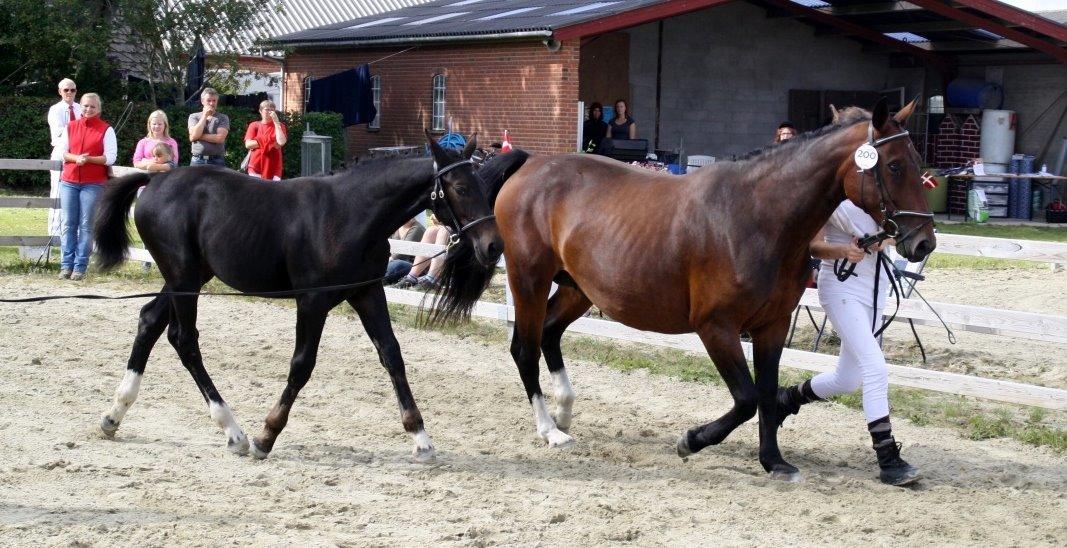 Oldenborg Marina billede 11