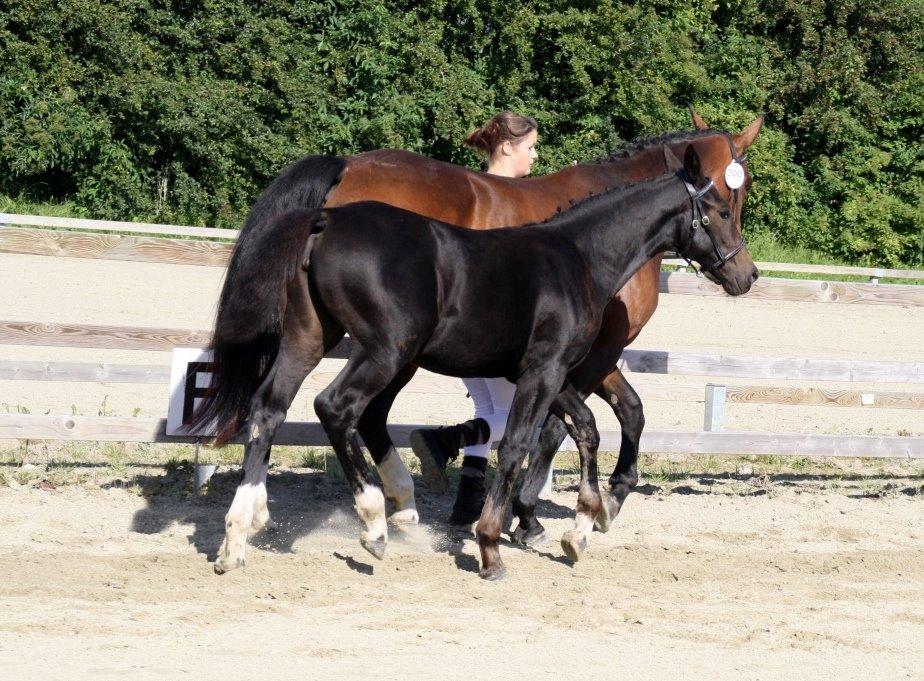 Oldenborg Marina billede 31