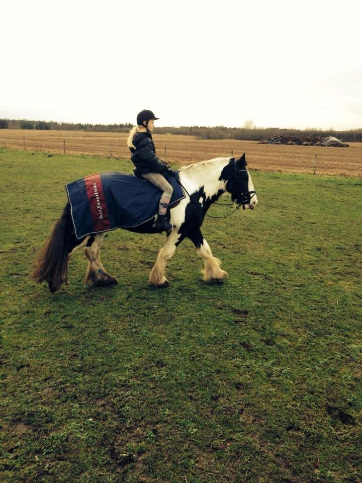 Tinker Aiden billede 10