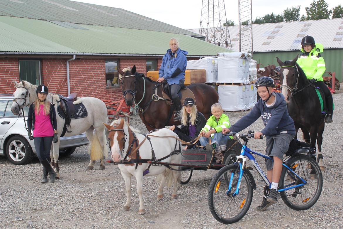 DSP Bæklunds Matilde - På lang ridetur til  min søsters hus, hvor vi overnattede:-D billede 16