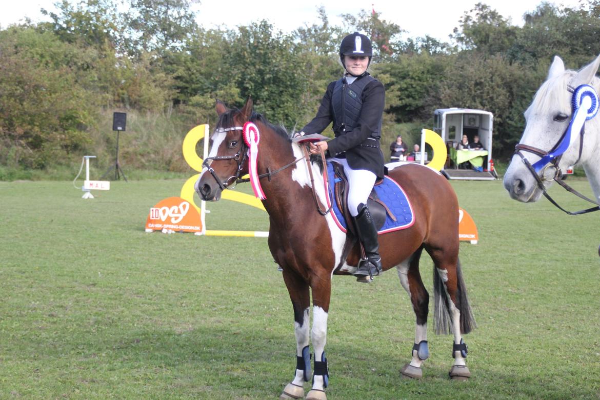 Hollandsk Sportspony Amezing Amira Distriktsmester 2013 - Ponyen vinder med stil 2 første placeringer i MB 2013 i rebild! billede 14