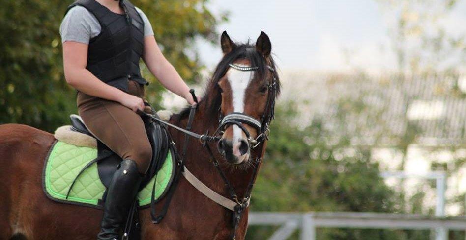 DSP Pilot af Idskov billede 13