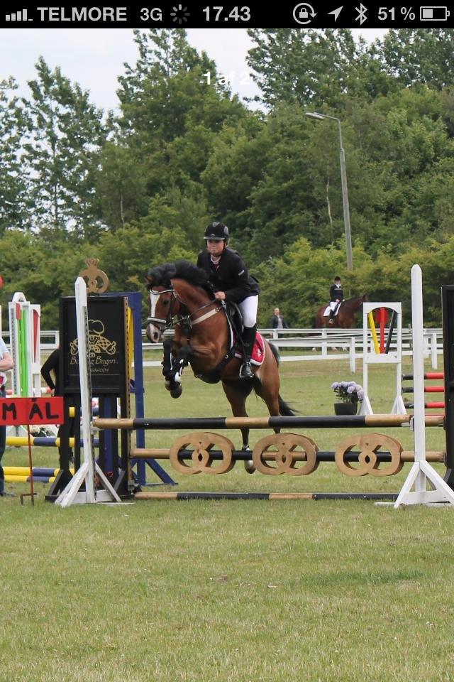 DSP Pilot af Idskov billede 8