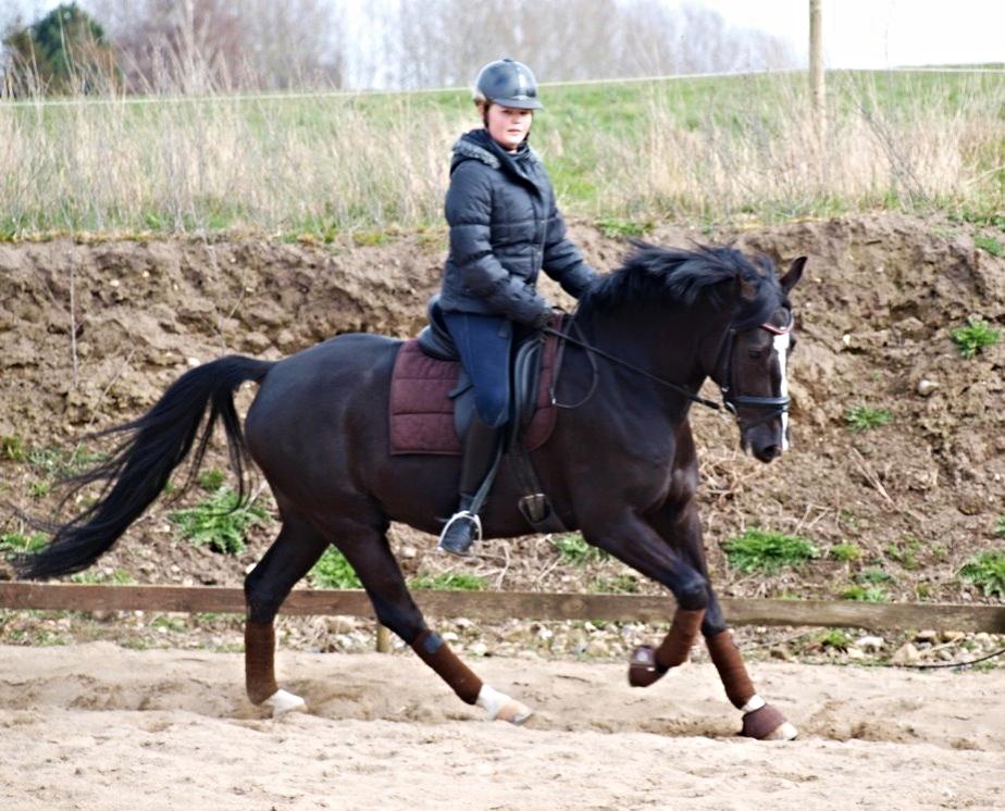 Anden særlig race Mar Maja Hector - Galop træning <3 22/3-14 billede 12