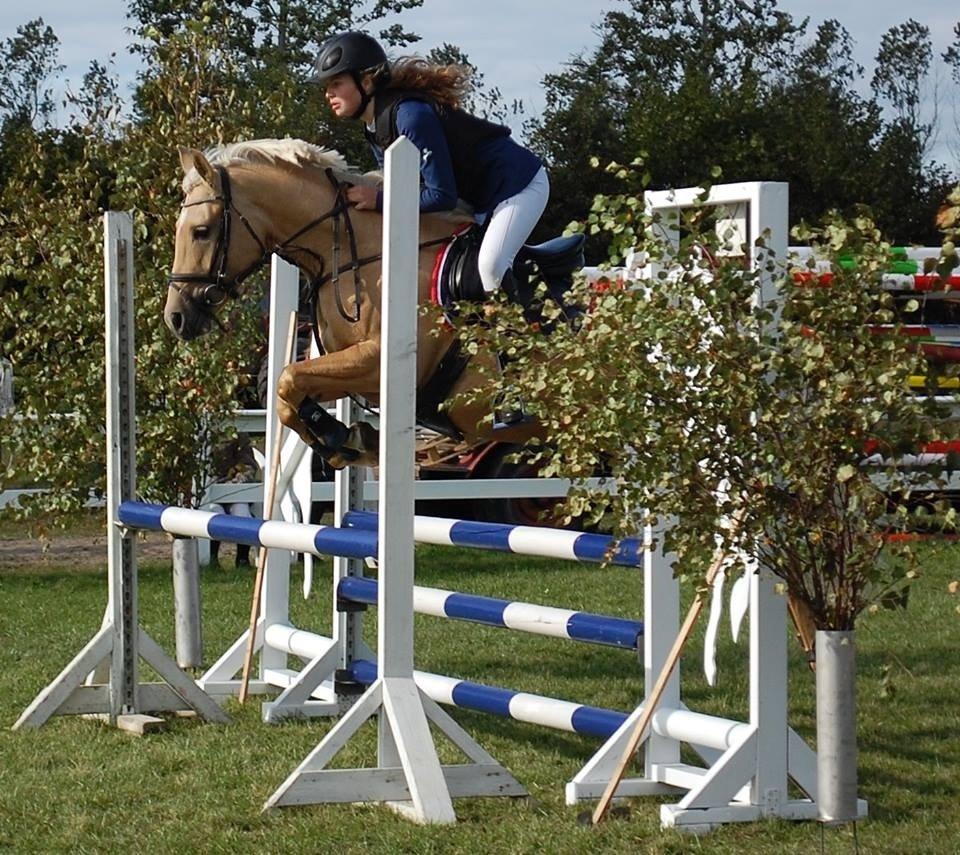 Anden særlig race Gloria (SOLGT) - Individuel distriksmesterskab 2013 i Bording! <3 billede 22