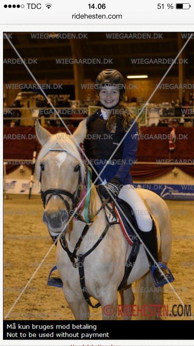 Anden særlig race Gloria (SOLGT) - 3. Plads til DCS <3 billede 8