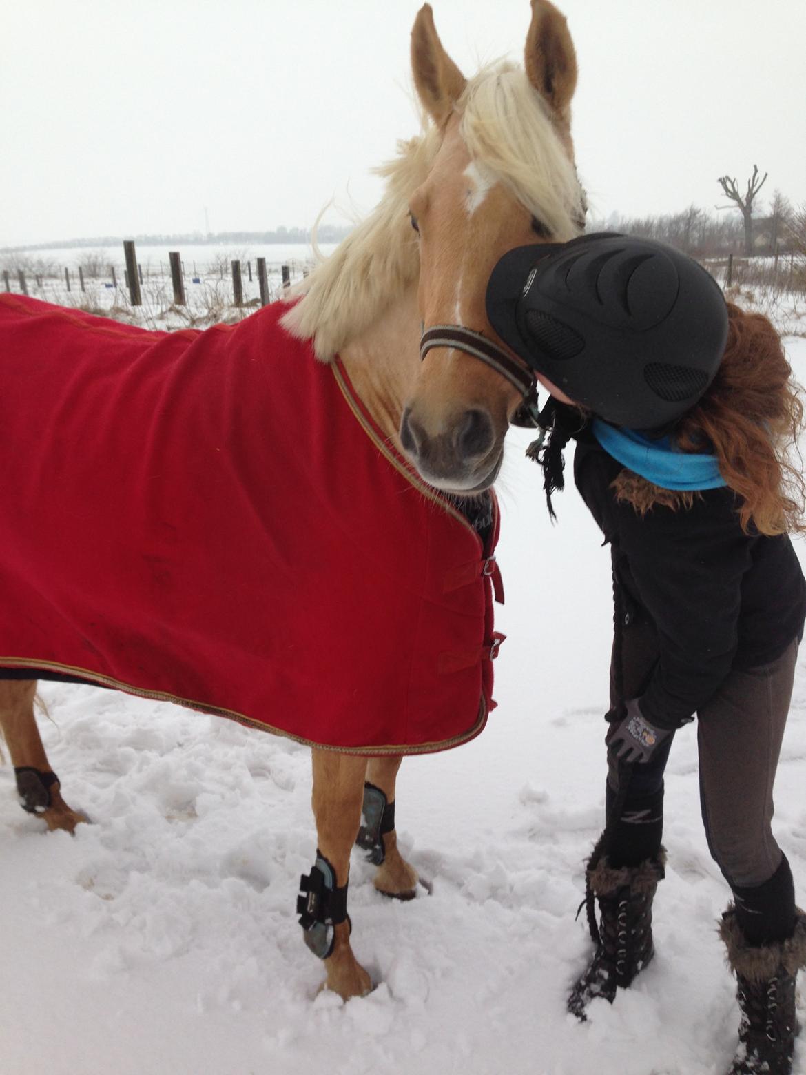 Anden særlig race Gloria (SOLGT) - Jul 2014 billede 14