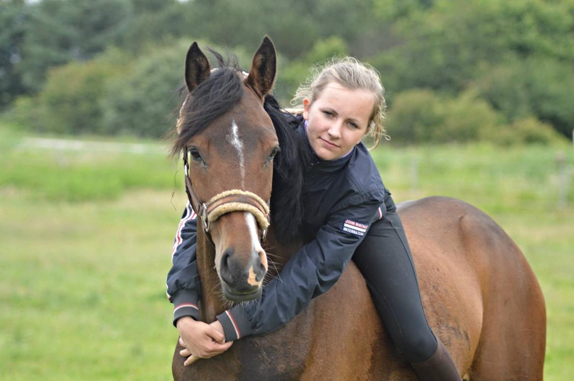 DSP Stidsbjergs Night Whisper - "Kærlighed er som krig - nem at starte, svær at slutte og aldrig til at glemme billede 7