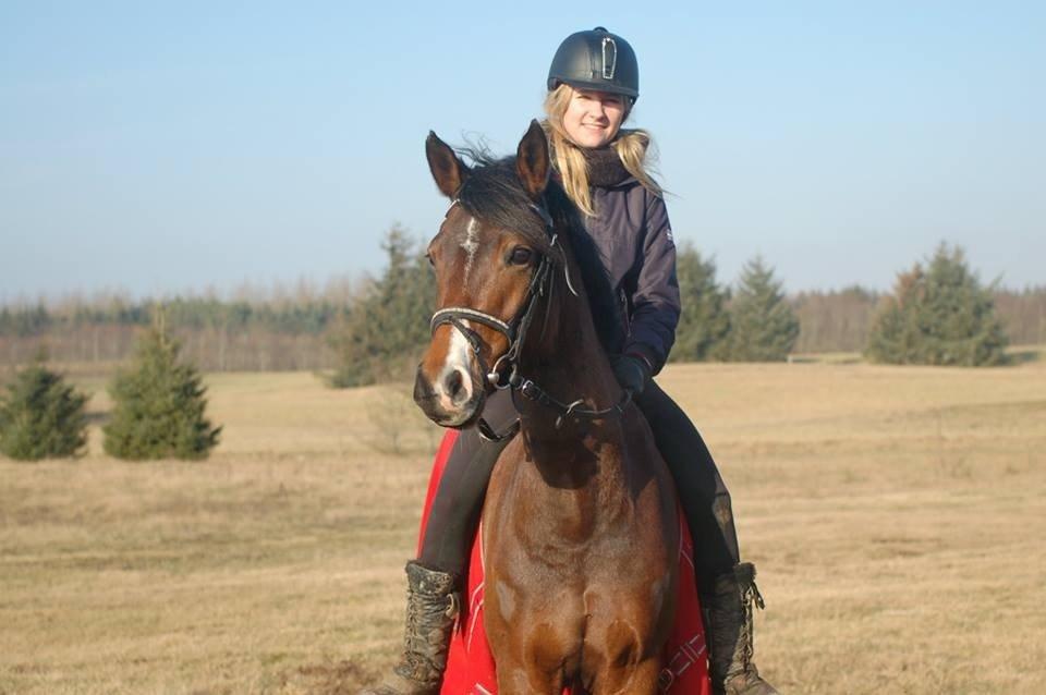 DSP Stidsbjergs Night Whisper billede 17