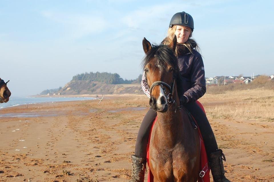 DSP Stidsbjergs Night Whisper billede 8