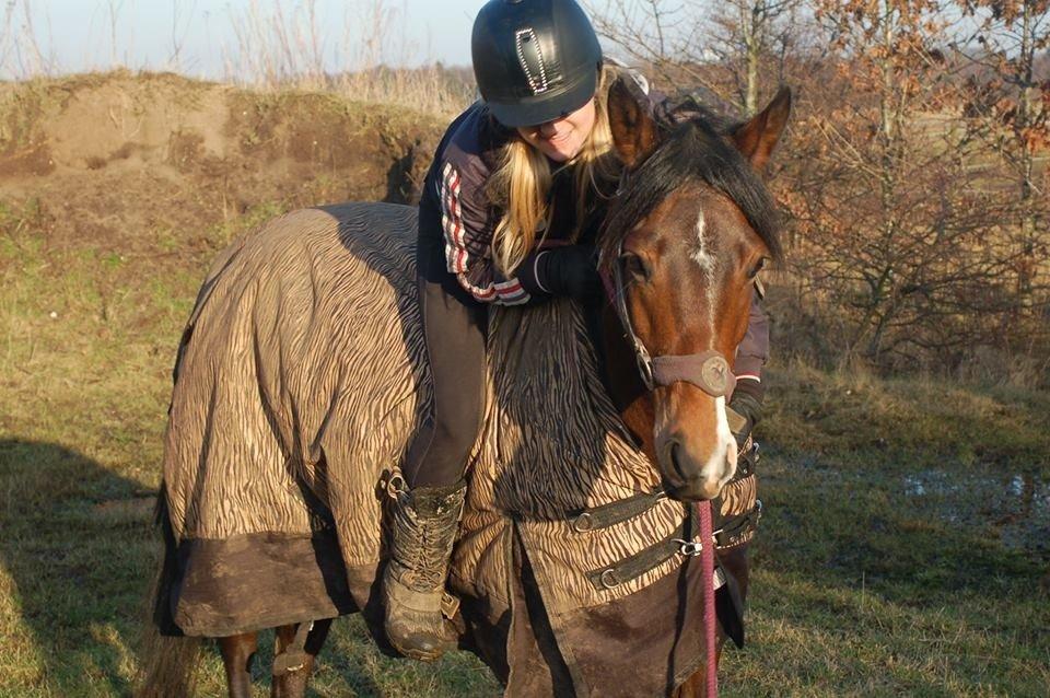 DSP Stidsbjergs Night Whisper billede 10