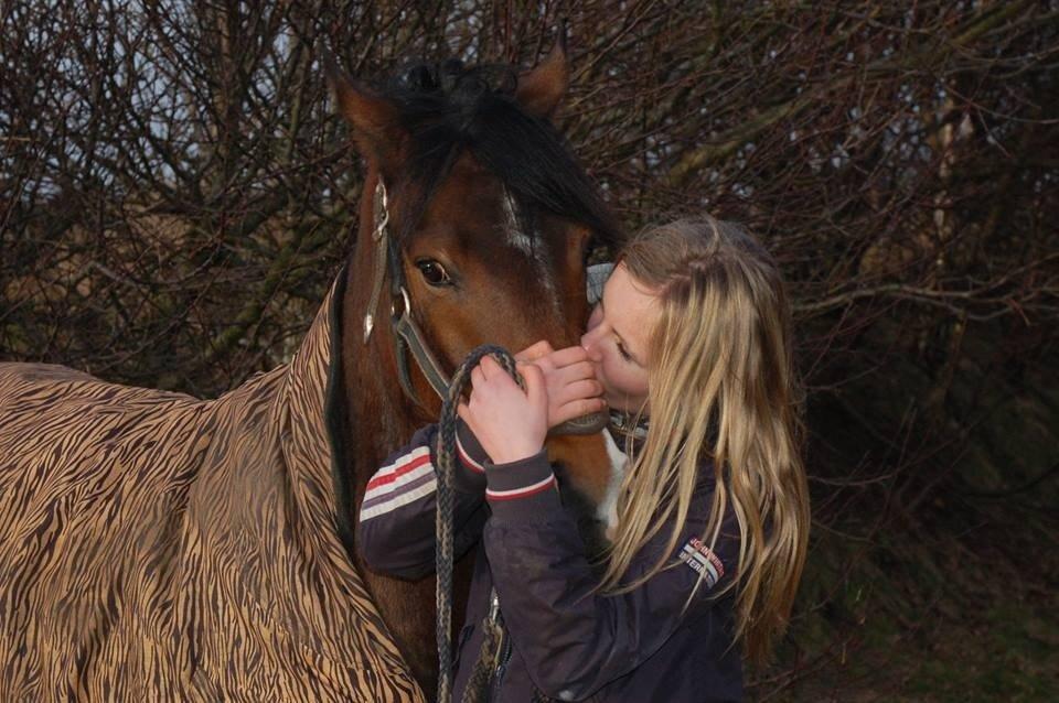 DSP Stidsbjergs Night Whisper billede 14