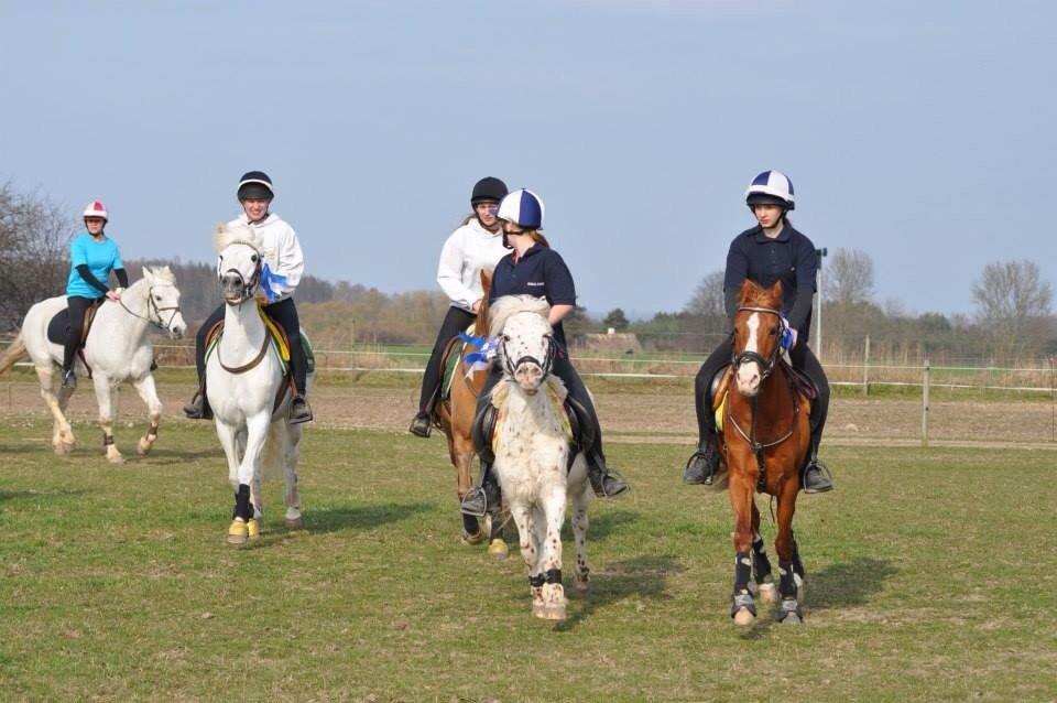 DSP Nyholms Sinatra billede 21