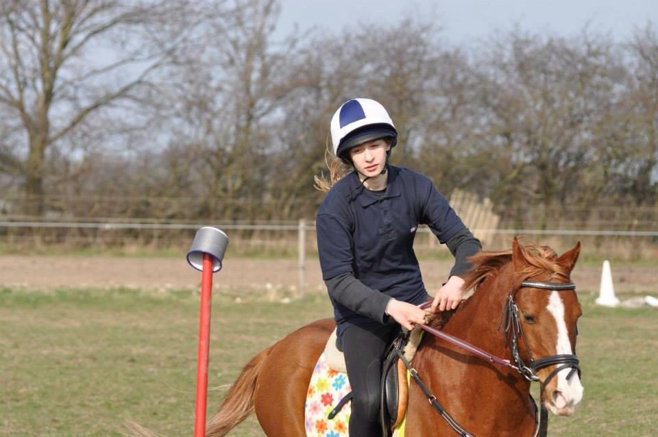 DSP Nyholms Sinatra billede 20