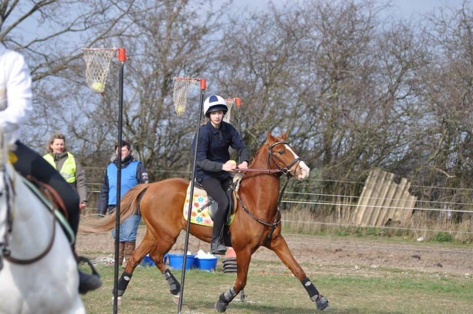 DSP Nyholms Sinatra billede 24