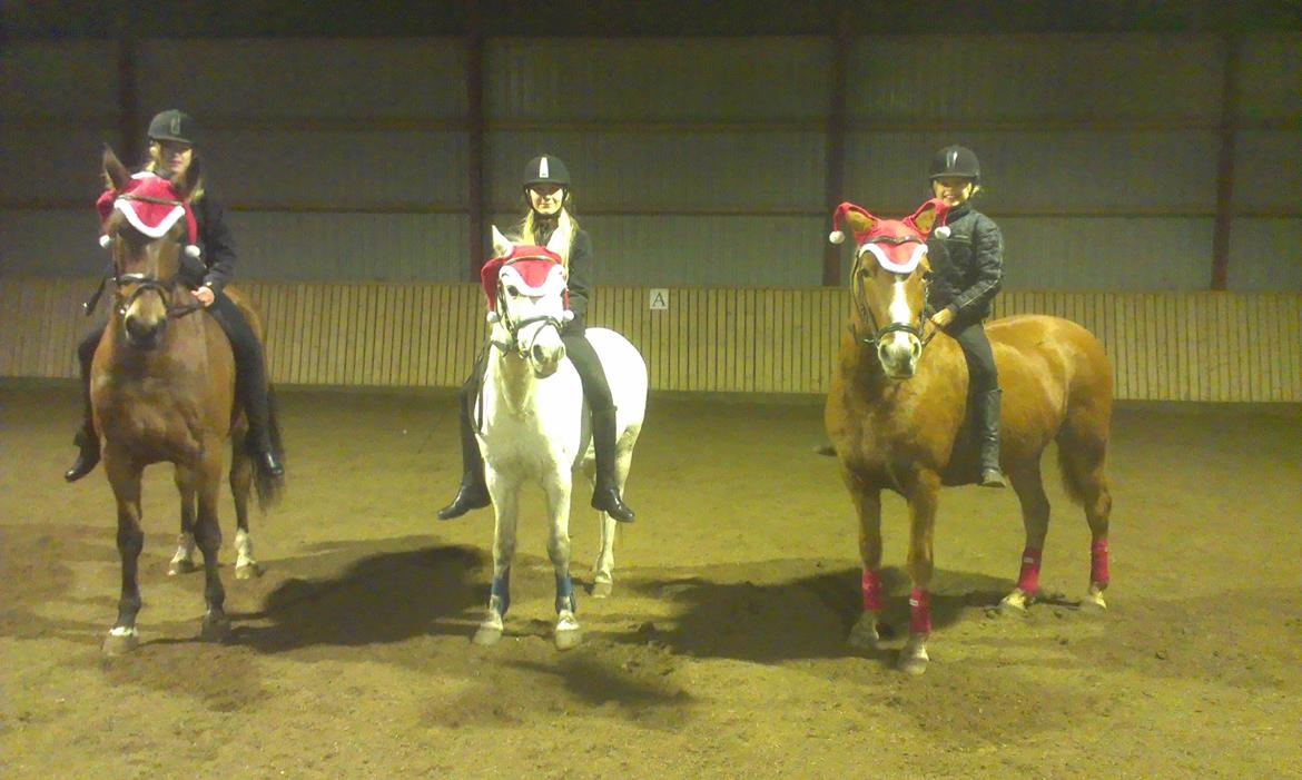 Anden særlig race Lotte mit et og alt<3 - De 3 søde nisser til ridetime.<3<3<3<3<3 billede 12