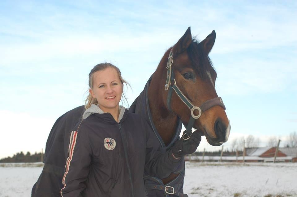 DSP Stidsbjergs Night Whisper billede 19