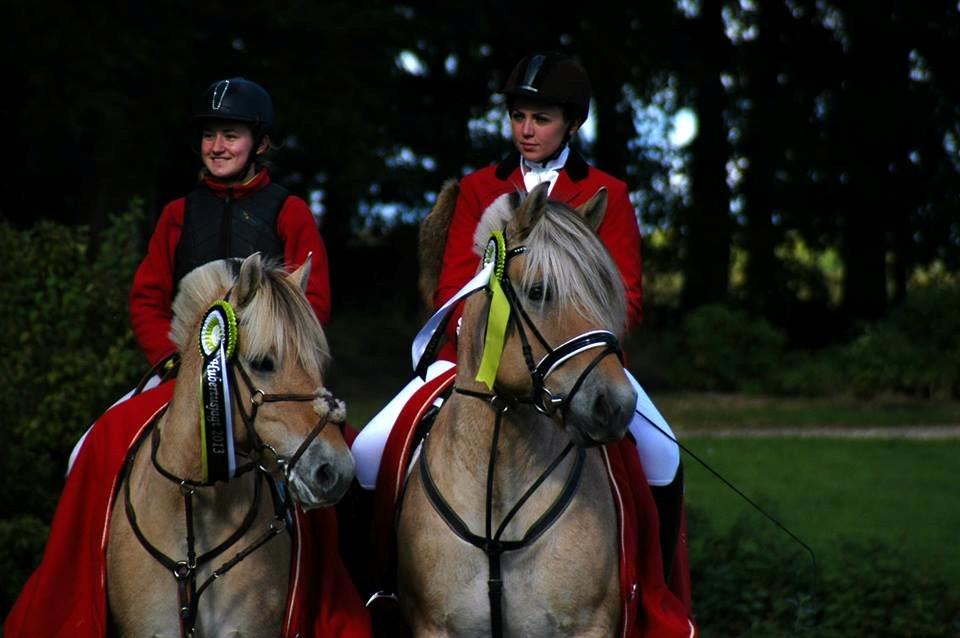 Fjordhest Alibine - Hubertusjagt 2013 - Fynske Fjordheste - Tidselholt Gods  billede 18