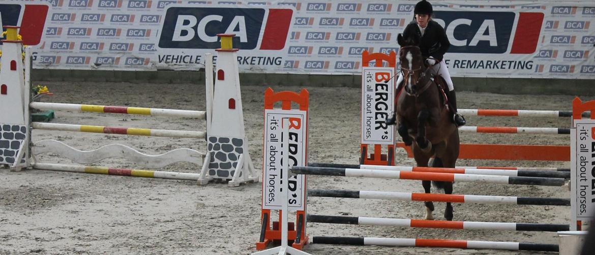 Dansk Varmblod Arianna billede 3