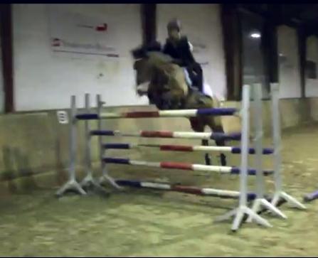 Anden særlig race kiara - Kiara og jeg springer 140cm <3 taget fra video billede 4