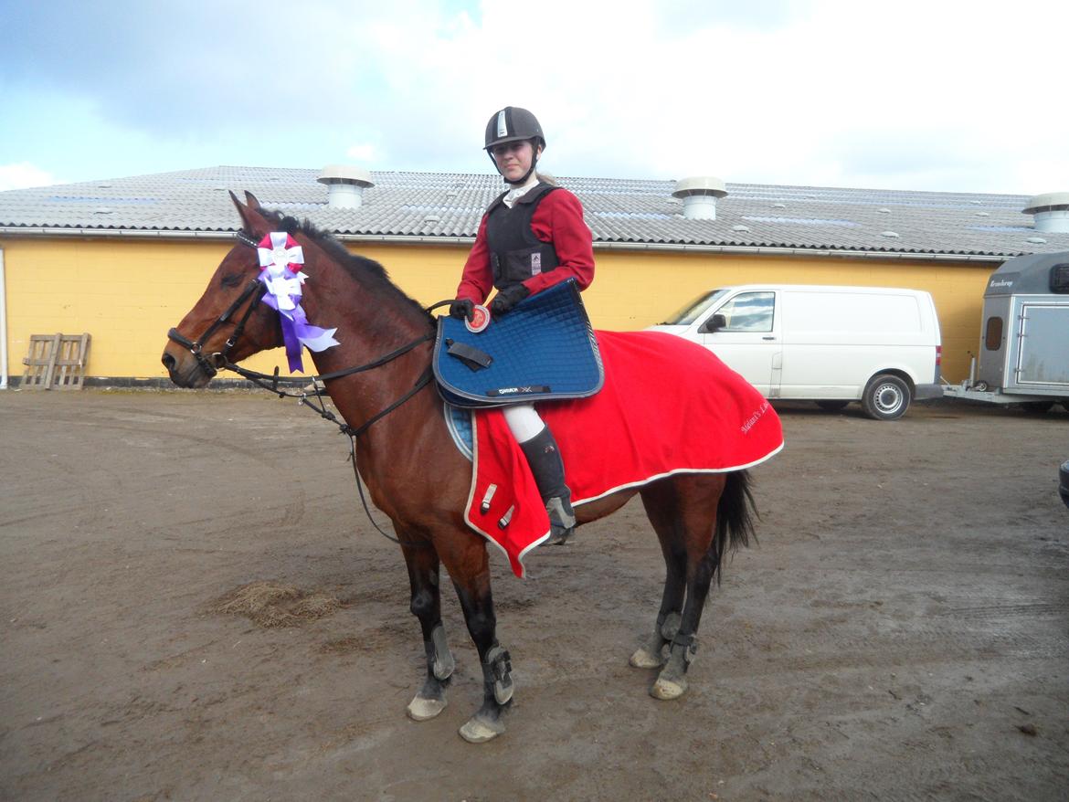 Hollandsk Sportspony Melanie's Lady  B-PONY - D. 23.3.2014 Gråsten Rideklub 1 Plads billede 35