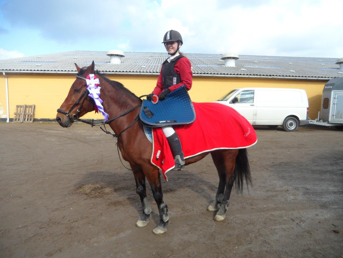 Hollandsk Sportspony Melanie's Lady  B-PONY - D. 23.3.2014 Gråsten Rideklub 1 Plads billede 36