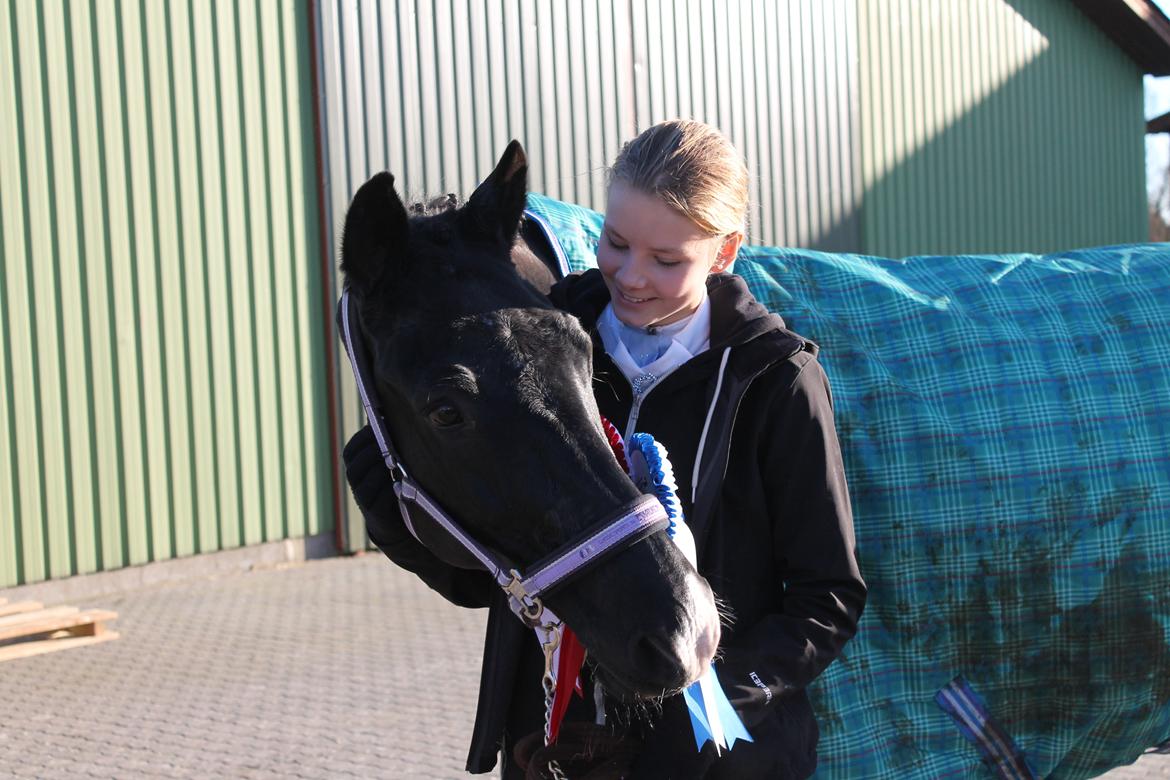 Anden særlig race Horse-Wear's Oktober billede 11
