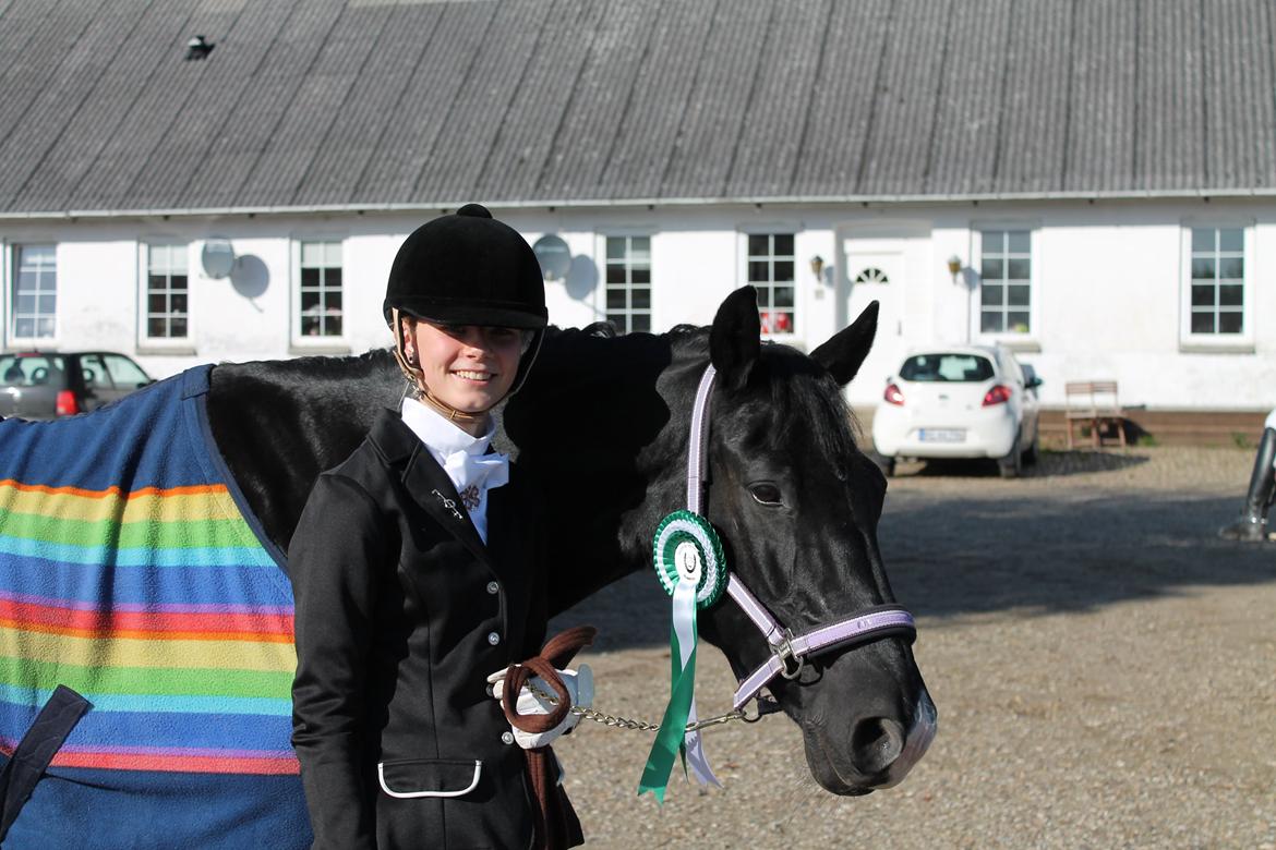 Anden særlig race Horse-Wear's Oktober - Jordrup klubstævne den 28-09-2013 3. plads med 70% billede 13