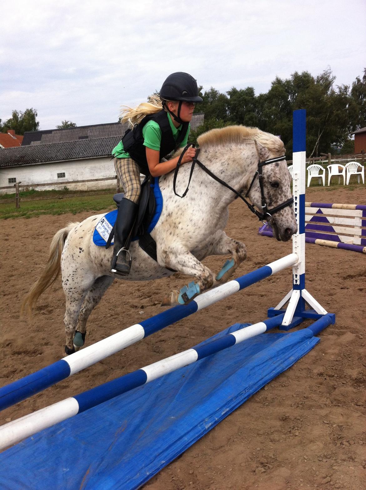 Anden særlig race Hoppity Hop (Verdens bedste pony)<3 billede 16