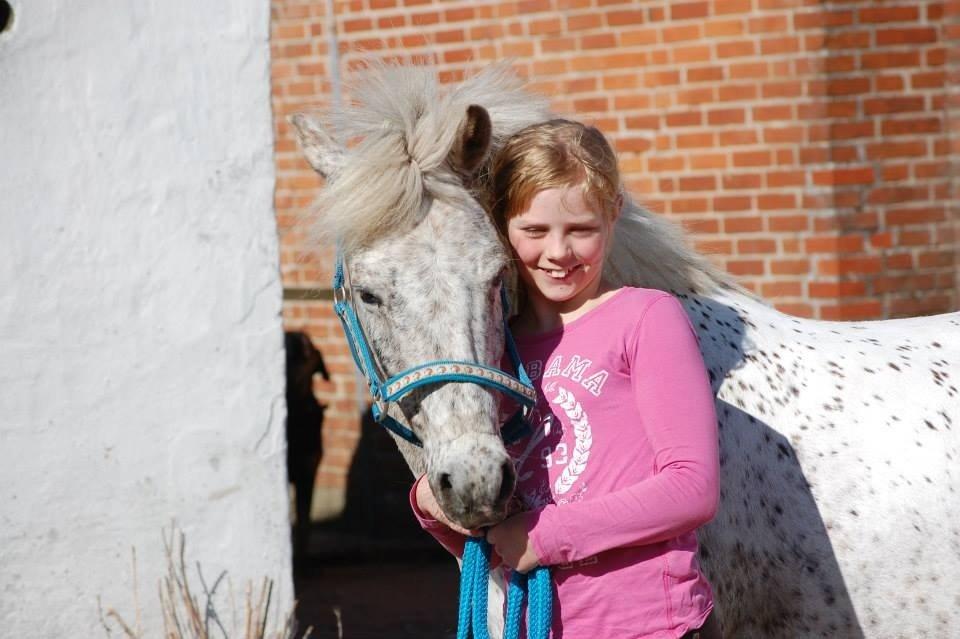 Anden særlig race Hoppity Hop (Verdens bedste pony)<3 billede 17