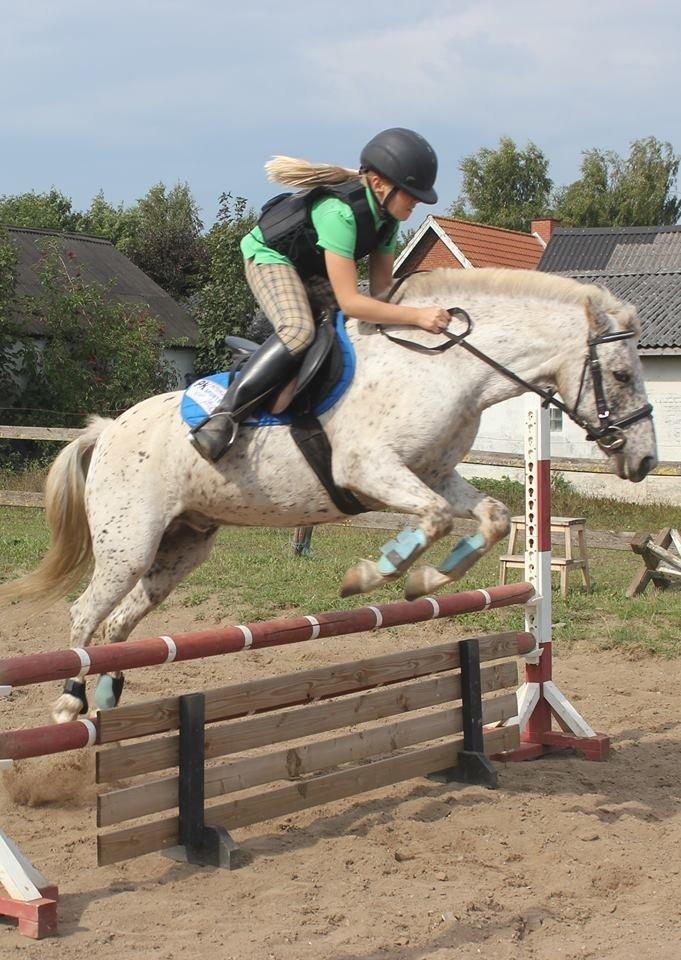 Anden særlig race Hoppity Hop (Verdens bedste pony)<3 billede 20