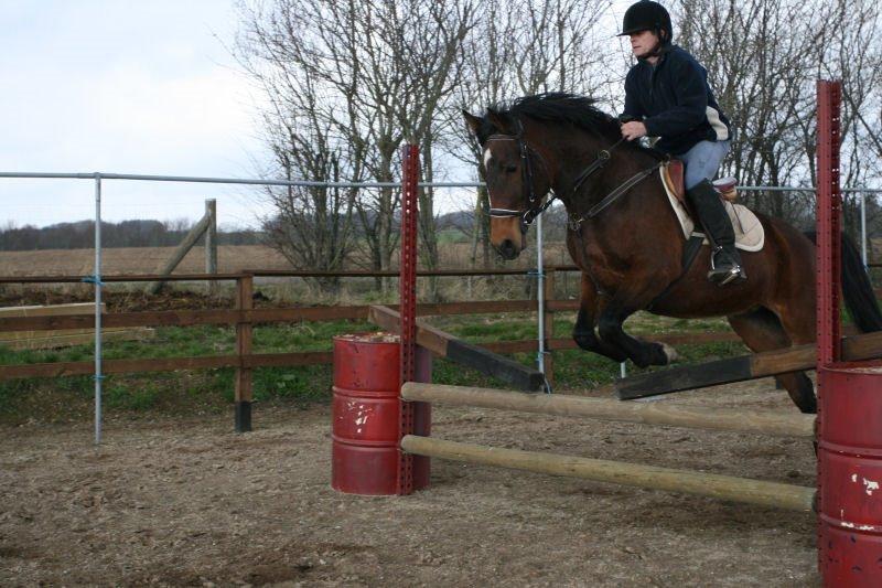 Anden særlig race Jasmin billede 2