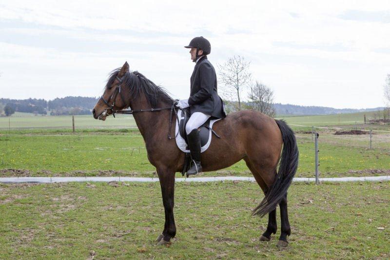 Anden særlig race Jasmin billede 4