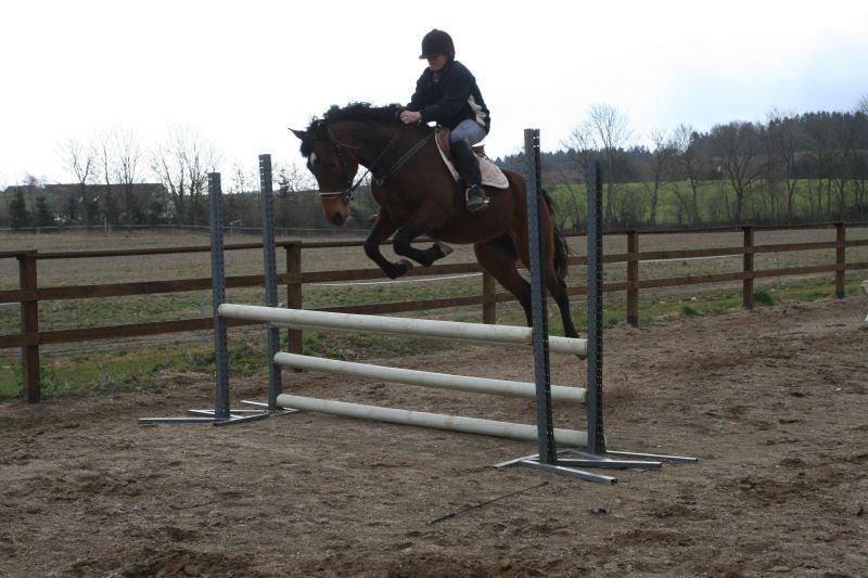 Anden særlig race Jasmin billede 1