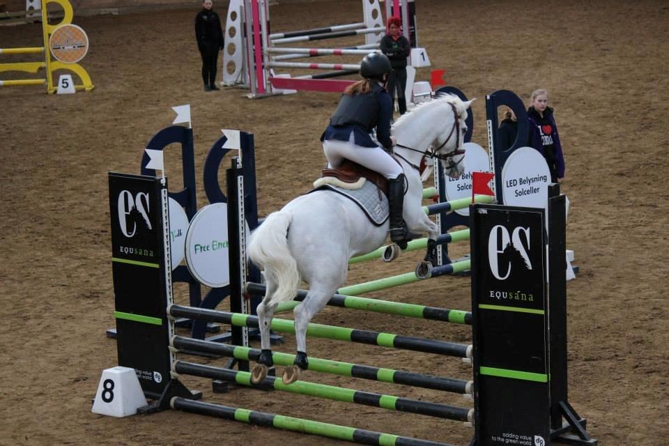 Anden særlig race Silver <3  - Se lige hvor højt han ligger over! :-O <3  billede 20