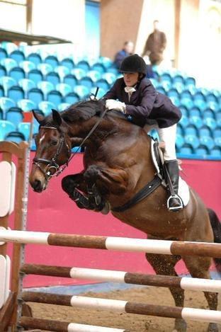 Dansk Varmblod Zenta Enemærke billede 1