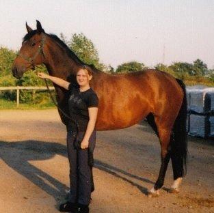 Dansk Varmblod Zenta Enemærke billede 5