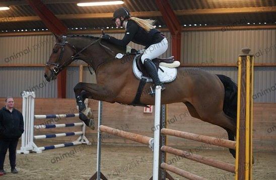 Holstener Quite la bryere billede 22