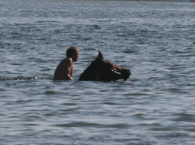 Anden særlig race Jasmin billede 6