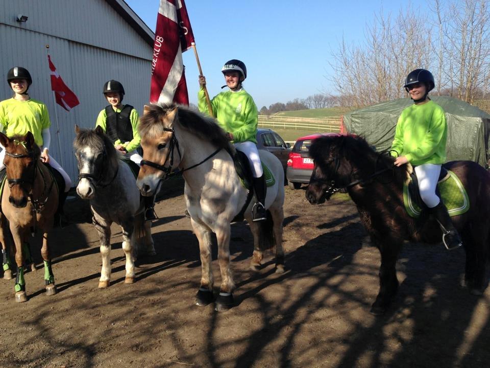 Islænder Gæfa fra Hejelte  - DM i ponygames billede 2