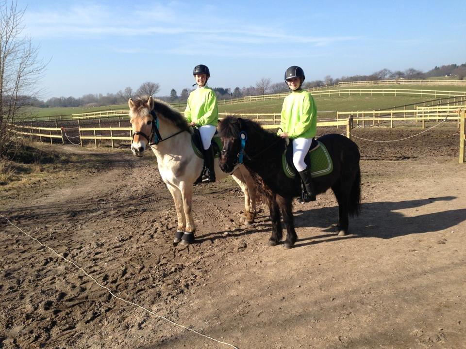 Islænder Gæfa fra Hejelte  - 4 plads DM ponygames med julie 2013 billede 7